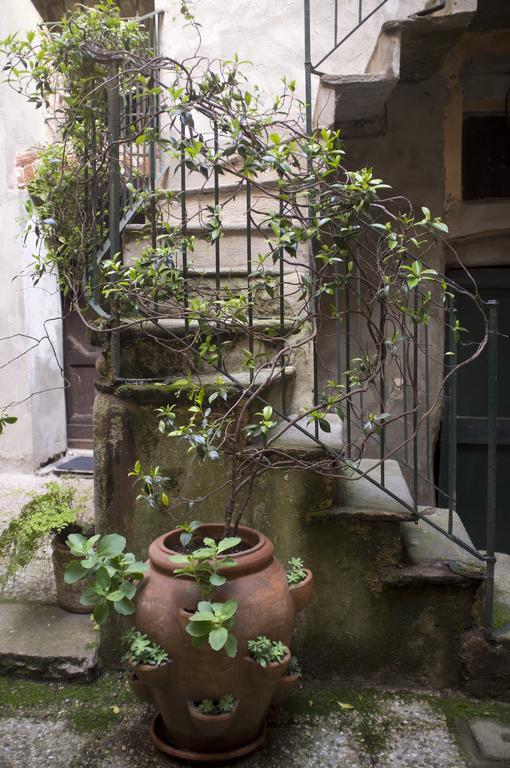 Apartment Sotto I Merli *